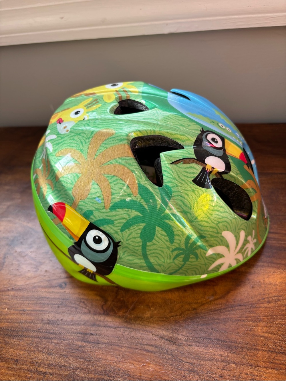 Schwinn Infant Helmet